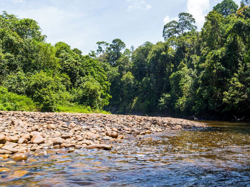 Ulu Temburong National Park