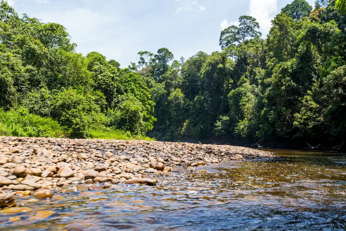Hotels near Ulu Temburong National Park