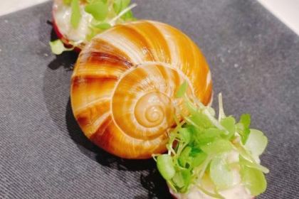 IMPROMPTU BY PAUL LEE