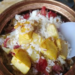抚海湾石锅鱼·野生菌·猪肚包鸡(三十六年店) User Photo