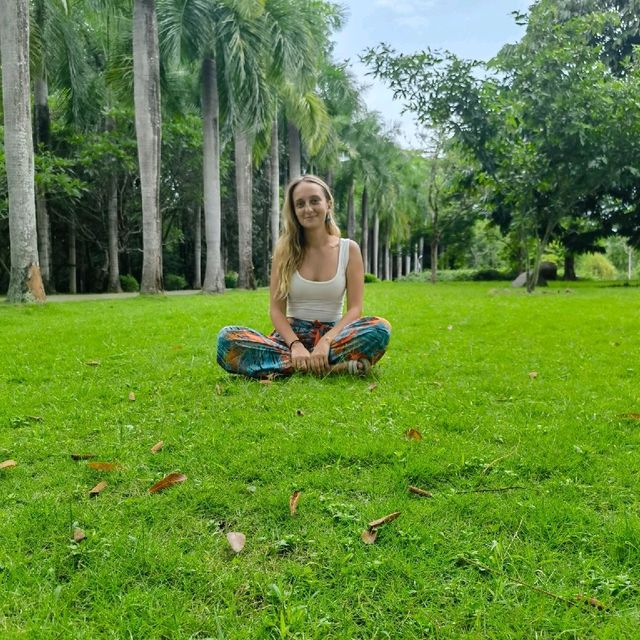 Tropical paradise🌴