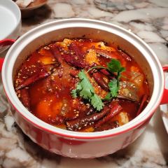 柴门荟(前滩太古里店) User Photo