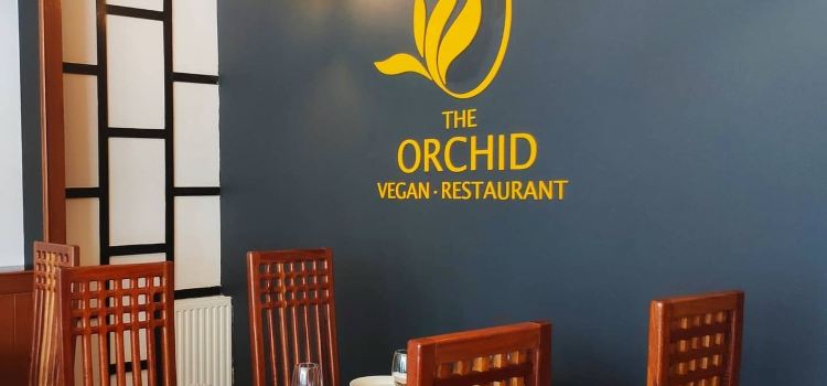 The Orchid Vegan Restaurant