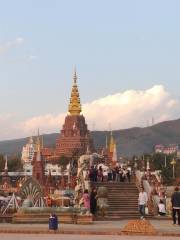 Xishuangbanna South Medicinal Plant Garden