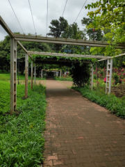 Aditi Garden