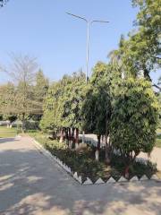 Company Bagh (Captain Safdar Shaheed Park)