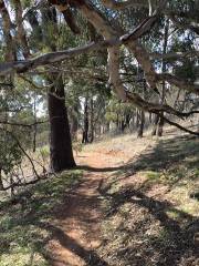 Canberra Centenary Trail