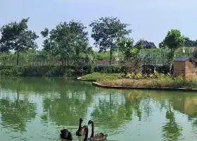 藍山灣村野動物園