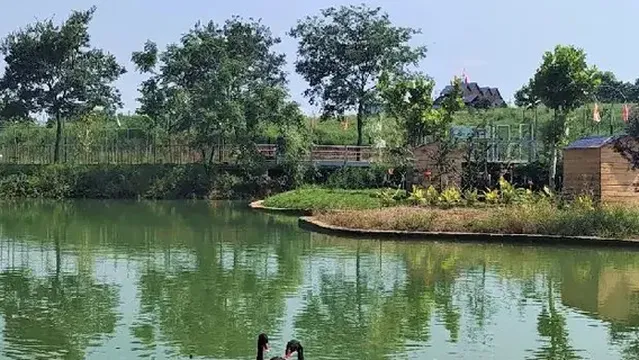 Blue Mountain Bay Village Wild Zoo