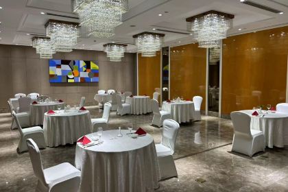 建湖九龙国际大酒店·豪华包厢