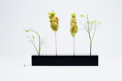 Restaurant Stucki - Tanja Grandits