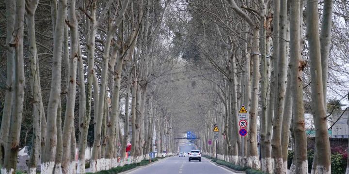 Chongqing Road