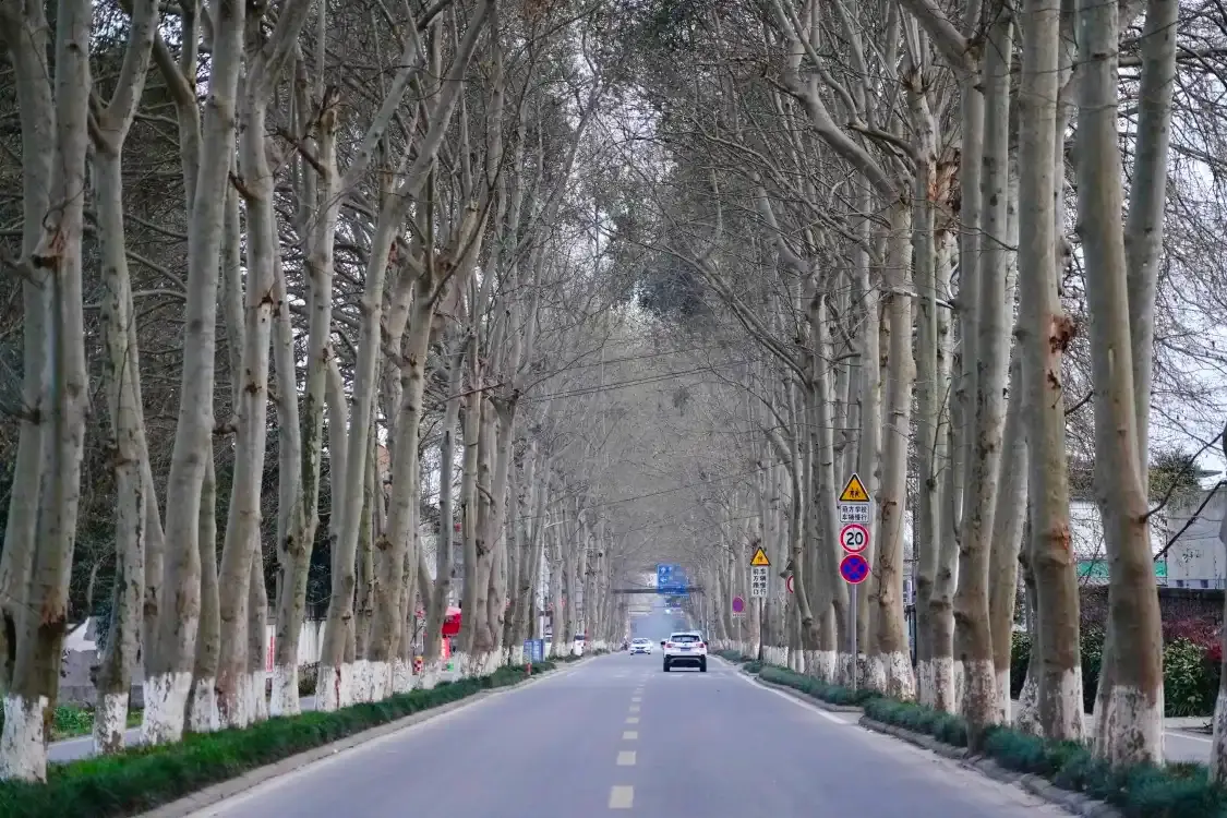 Hotels near Chongqing Road