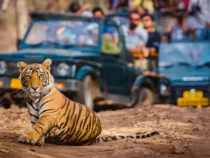 Parco nazionale di Ranthambore