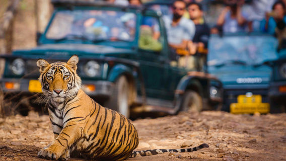 Ranthambore National Park