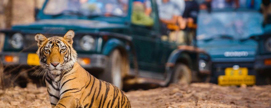 Ranthambore National Park
