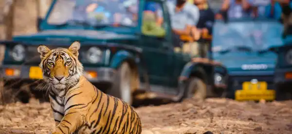 Sawai Madhopur