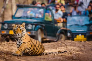 Distrito de Sawai Madhopur