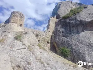 Parco Regionale di Gallipoli Cognato - Piccole Dolomiti Lucane