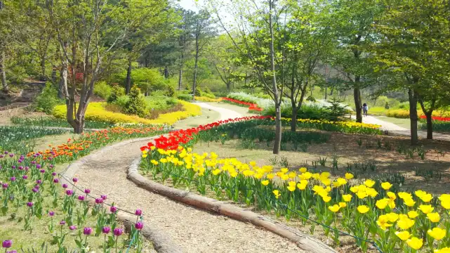 鄰近翡翠花園的酒店