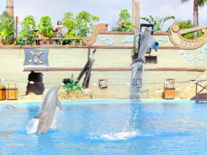 海洋世界水族館