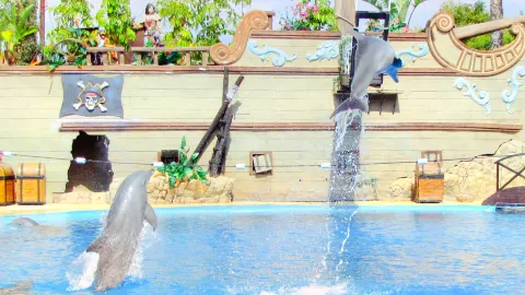 ムンドマール attraction in ベニドルム