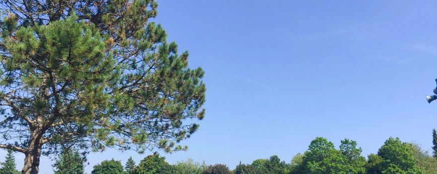 Petticoat Creek Conservation Park