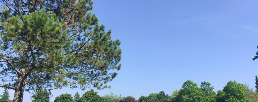 Petticoat Creek Conservation Park