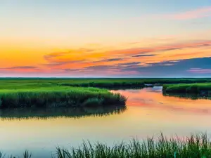 Bombay Hook National Wildlife Refuge
