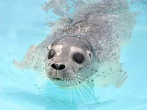 Otaru Aquarium