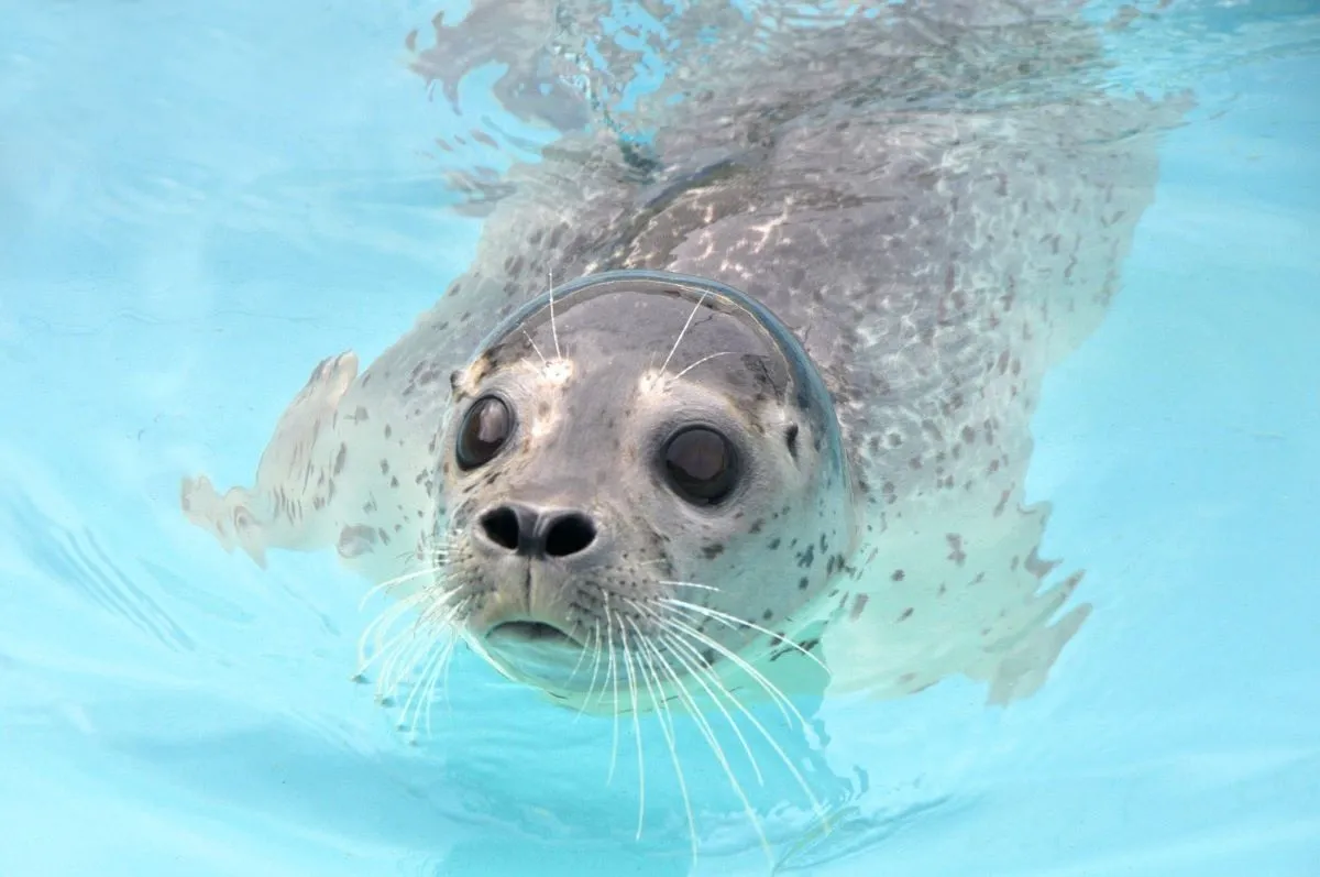 1_오타루 아쿠아리움