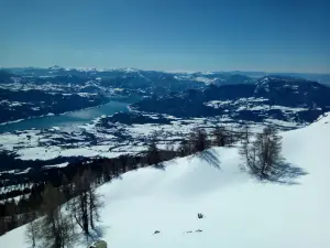 레알롱 세르퐁송 관광 안내소