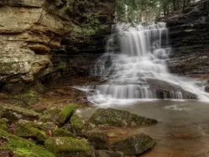 Honey Run Park