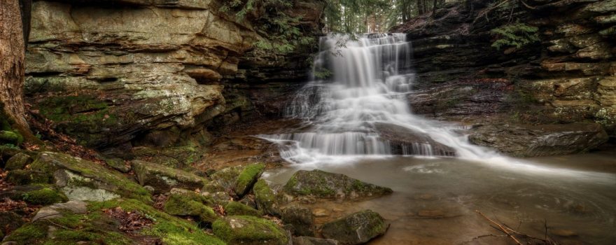Honey Run Park