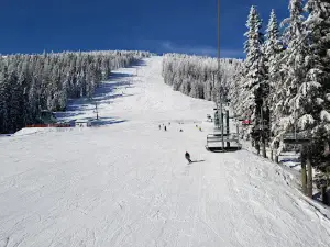 Mt. Spokane Ski & Snowboard Park