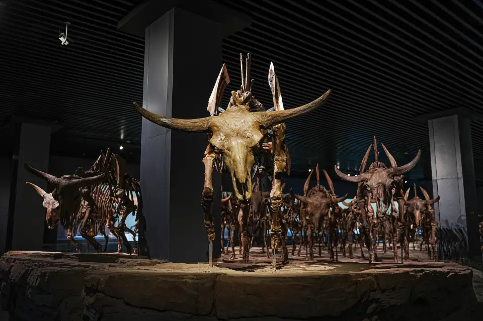 5_Daqing Museum