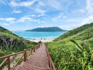 The Small Beaches