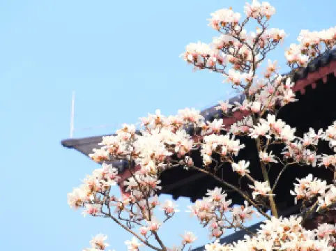 กิจกรรมในฤดูใบไม้ผลิ10ยอดนิยมในเหอเฟย