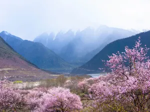 雅魯藏布大峽谷