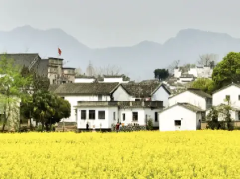 กิจกรรมในฤดูใบไม้ผลิยอดนิยมในหลานซี