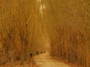 Aksu Dolan River National Wetland Park