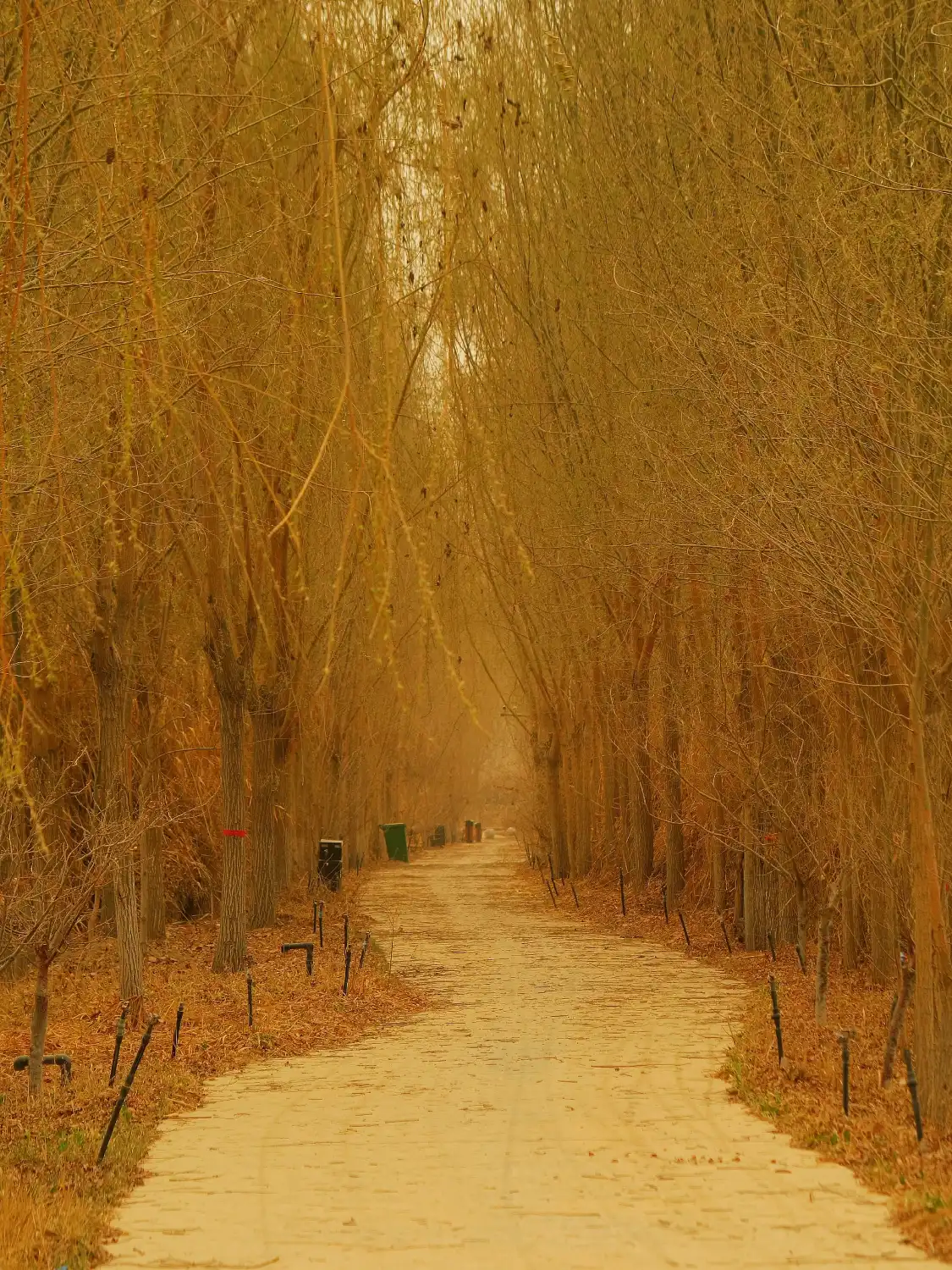 아커쑤 두랑허 국가 습지공원 주변 호텔