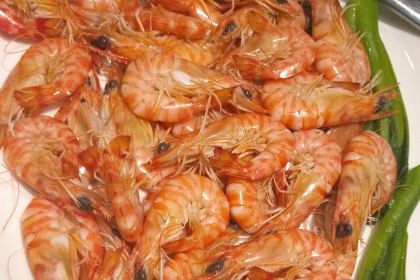 WAITANYANZHONGCANTING