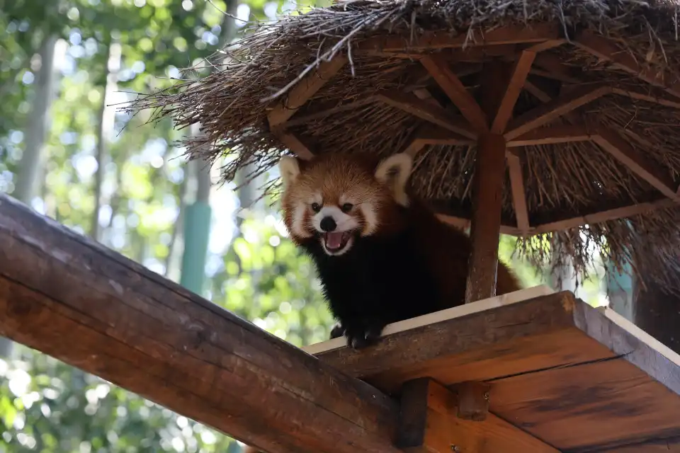 3_Badaling Wildlife World