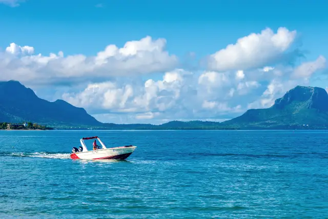 Dolphin Watching in Mauritius