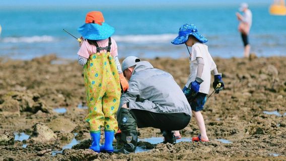Beach Treasure Hunting in Huizhou