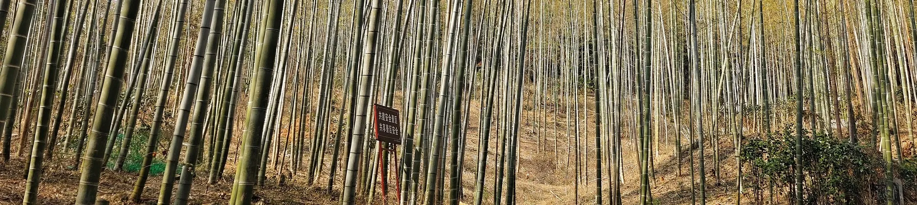 Fall Viewing Attractions