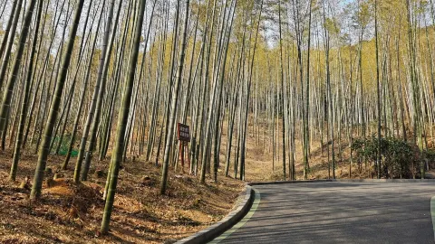 Yefu Mountain National Forest Park attraction in Hefei