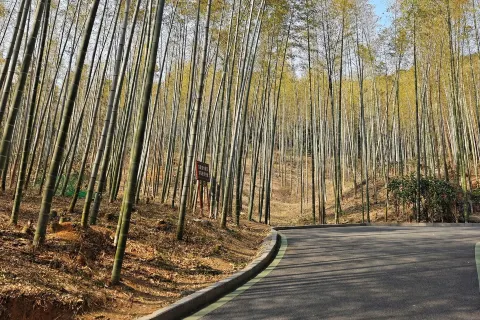 Yefu Mountain National Forest Park