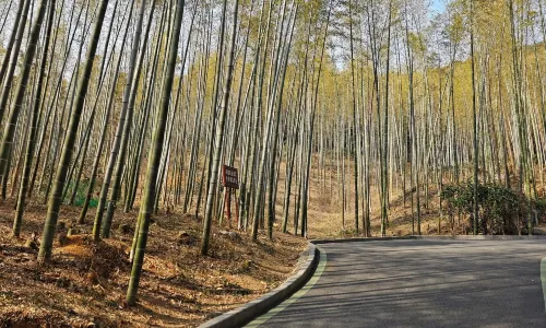 Yefu Mountain National Forest Park